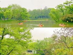 -西溪国家湿地公园