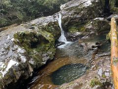 -龙苍沟森林公园