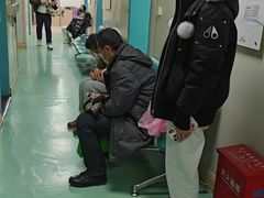 -北京观赏动物医院·24小时大型综合·猫专科·异宠专科