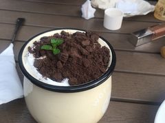 盆栽奶茶-两棵枇杷树