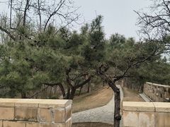 -元大都城垣遗址公园