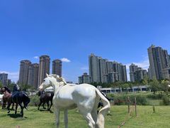 -四季轩中餐厅(徐州开元名都大酒店)