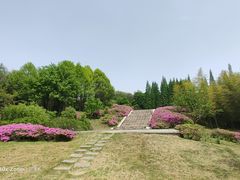 -宜兴龙背山森林公园