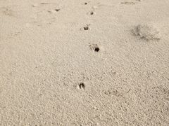-鄱阳湖国家湿地公园