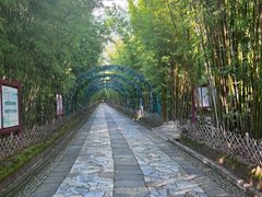 -蝴蝶泉公园