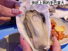 -千岛蚝高压锅生蚝·人参火锅(白云万达店)