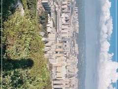 -长虫山生态公园风景林