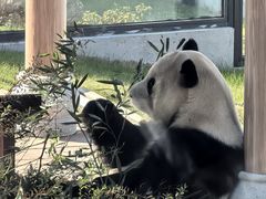 -无锡动物园·太湖欢乐园