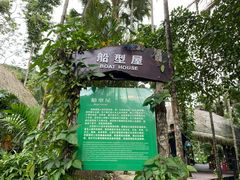 -呀诺达热带雨林