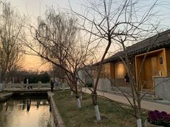 -春风习习