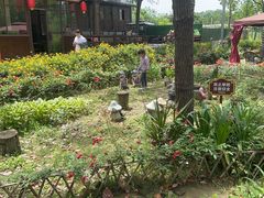 -洪湖家庭农场·团建·露营·会议