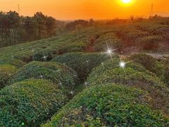 -游子山休闲旅游区