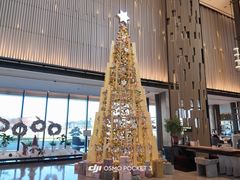 -东方美谷JW万豪酒店·The lounge大堂吧