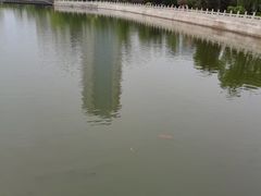 -迎泽公园