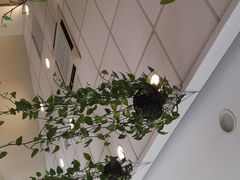 -德克士(唐龙店)