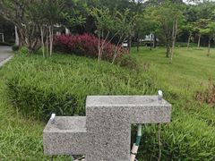 -王借岗森林公园