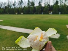 -前小桔亲子创意农场·草莓采摘·露营烧烤