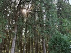 -龙洞风景区-藏龙涧