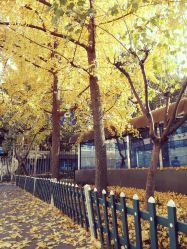 点击看大图 -HD HAIR STYLE