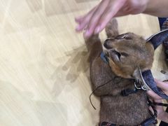 世博展览馆-东浩兰生上海世博展览馆