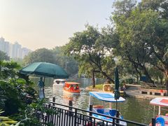 -晓港公园