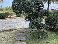 -科尔海悦酒店·柏顿花园餐厅(清河东路店)