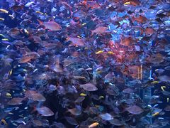 -成都浩海立方海洋公园