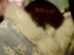 -暮晚尘香汉服旗袍