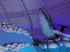 -烟台海昌鲸鲨海洋公园