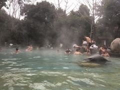 -青城道汤池