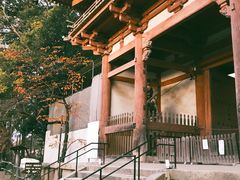 -醍醐寺