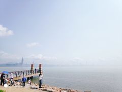 -宝安西湾红树林湿地公园