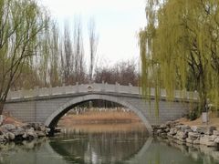 -大兴滨河森林公园