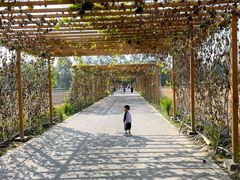 -中国天府农业博览园