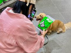 -帕帕拉兹宠物(亚洲旗舰店)