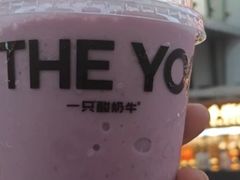 -一只酸奶牛(八一路店)
