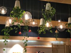 -柴务处·柴犬主题狗咖