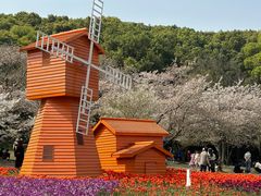 -苏州上方山国家森林公园