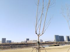 -渭滨公园