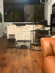 -HEY!TATTOO·嘿刺青