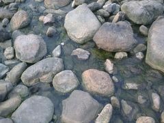 android_upload_pic-白塘生态植物园