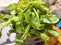 -海关荤豆花(洋河一路店)