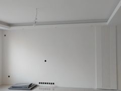 -大树装饰·十年本土家装