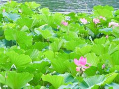 -承德避暑山庄景区