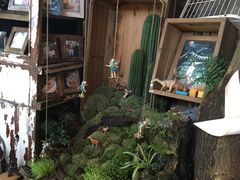 -懒鱼时光馆(沙坪坝店)