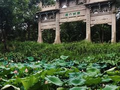 -西溪国家湿地公园