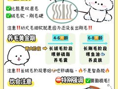 -翊宠yipet猫狗购宠庄园犬舍•猫舍