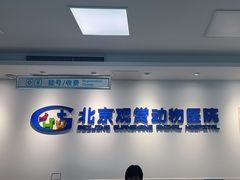-北京观赏动物医院·24小时大型综合·猫专科·异宠专科