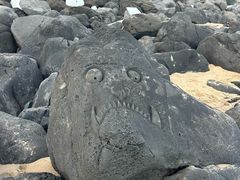 -漳州滨海火山岛自然生态风景区
