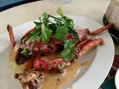 -明辉田鸡粥